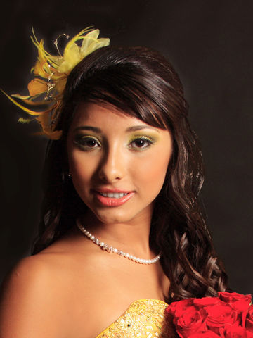 Estudio XV Años